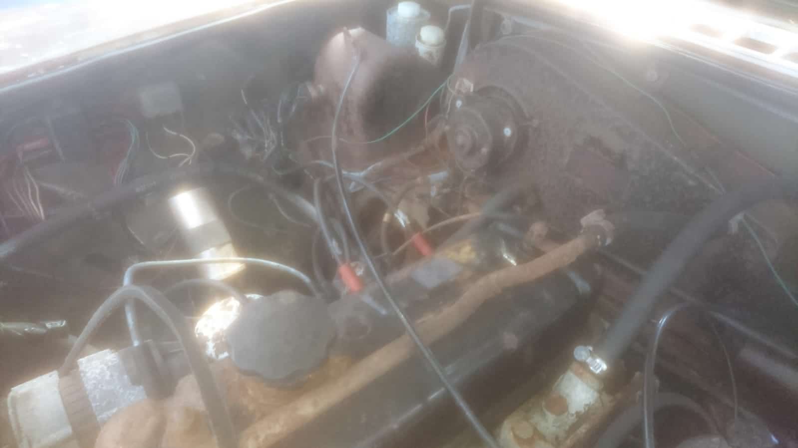 030718 MGB Tundra Green For Reference33