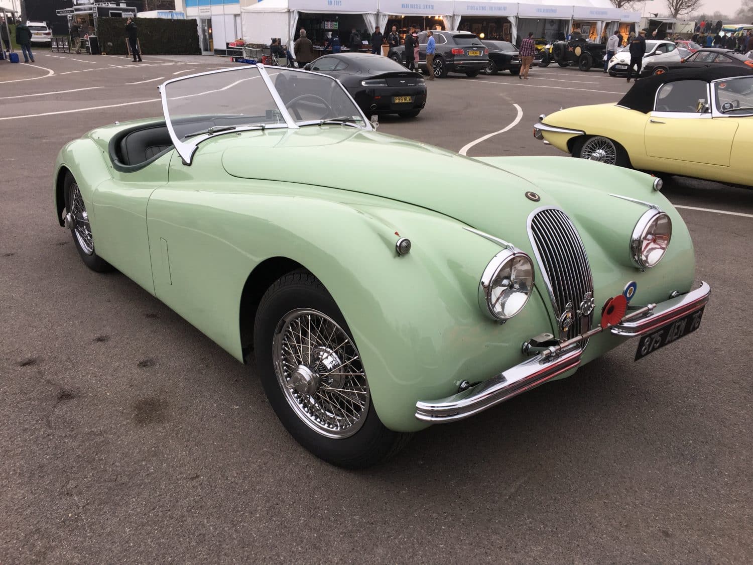 070419 GRRC Goodwood Members Meeting 2019 mm77 191 1