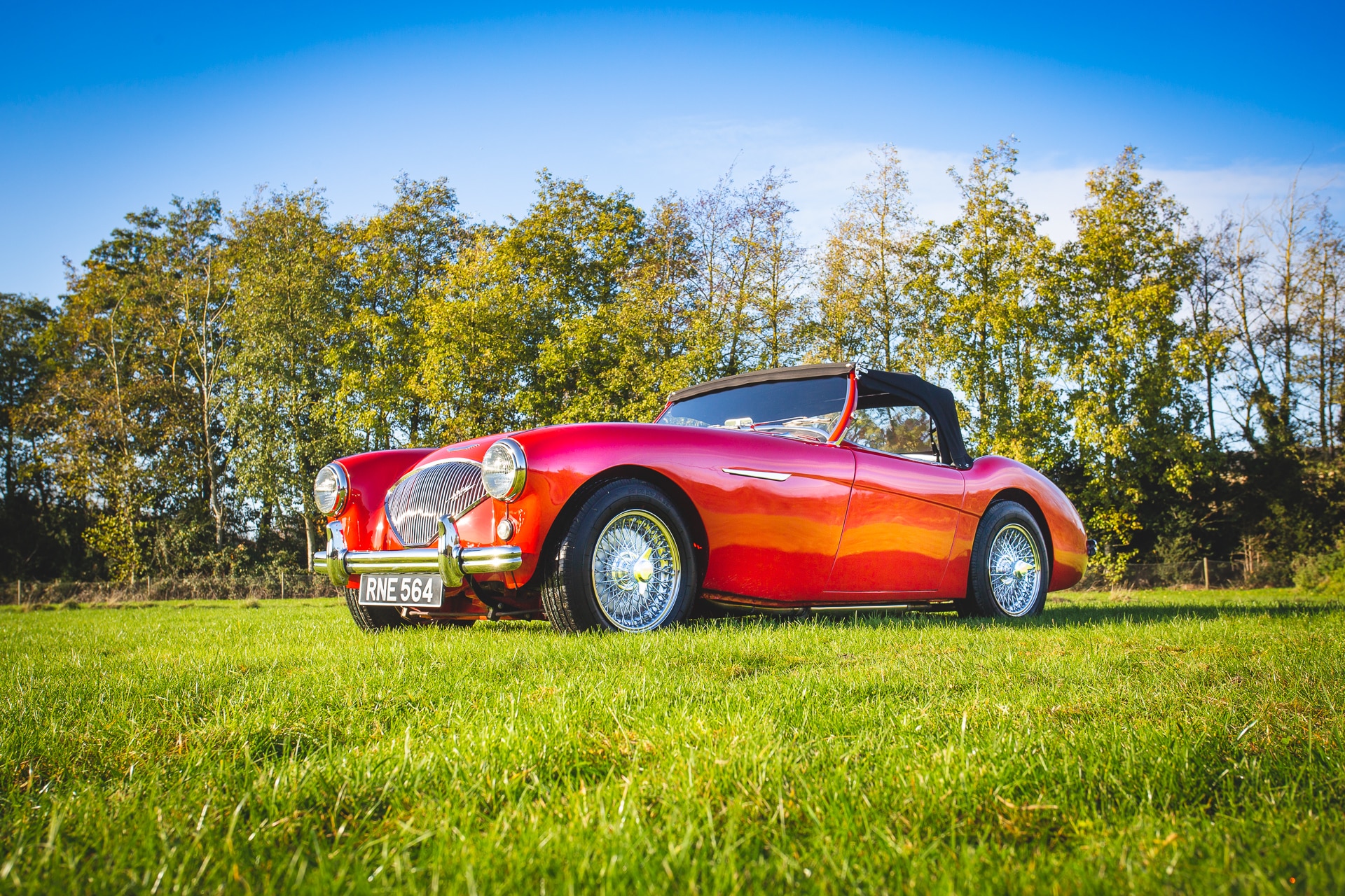1955 Austin Healey 100 BN4764