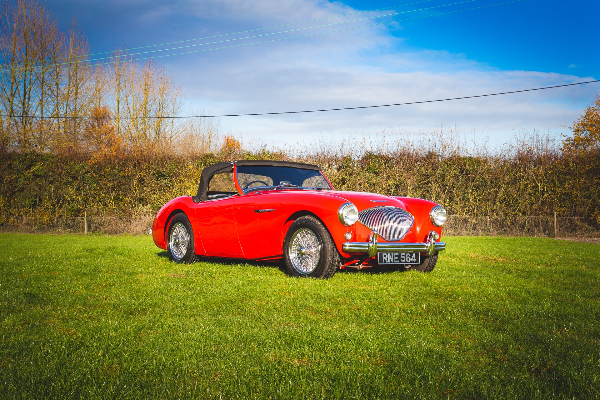 1955 Austin Healey 100 BN4767