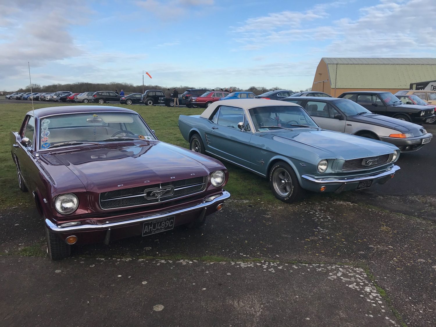 Photo 04 01 2020 21 46 34 1