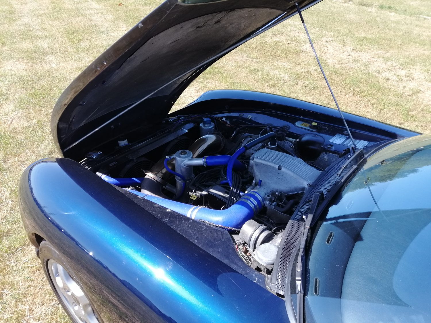 29052020 1994 Tvr Chimaera 8 1