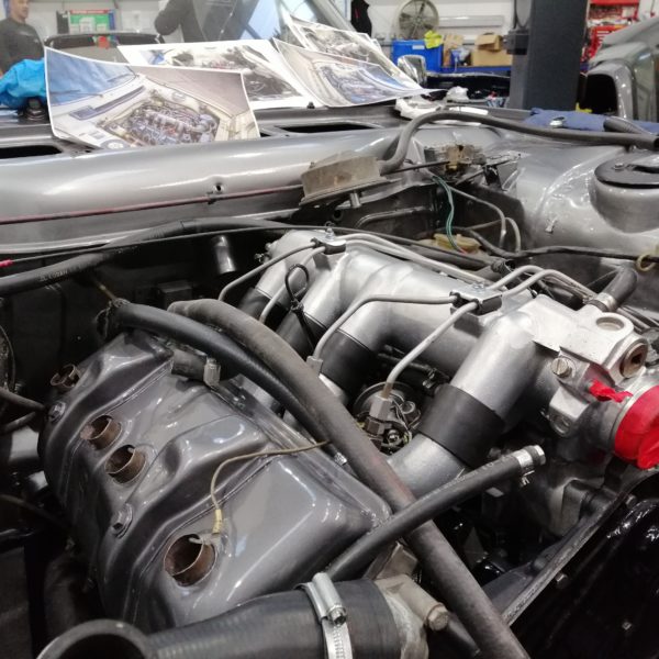 Peugeot 504 Engine going in Ady 4 600x600 2