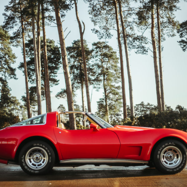 1979 Corvette on the airstrip 10 600x600 1