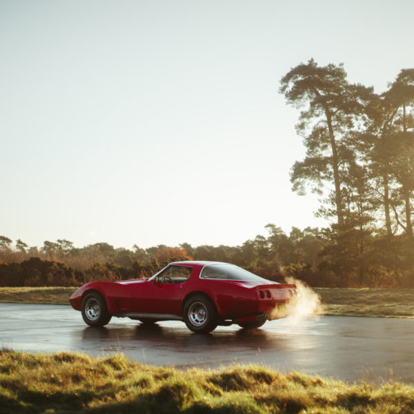 1979 Corvette on the airstrip 6 600x600 1