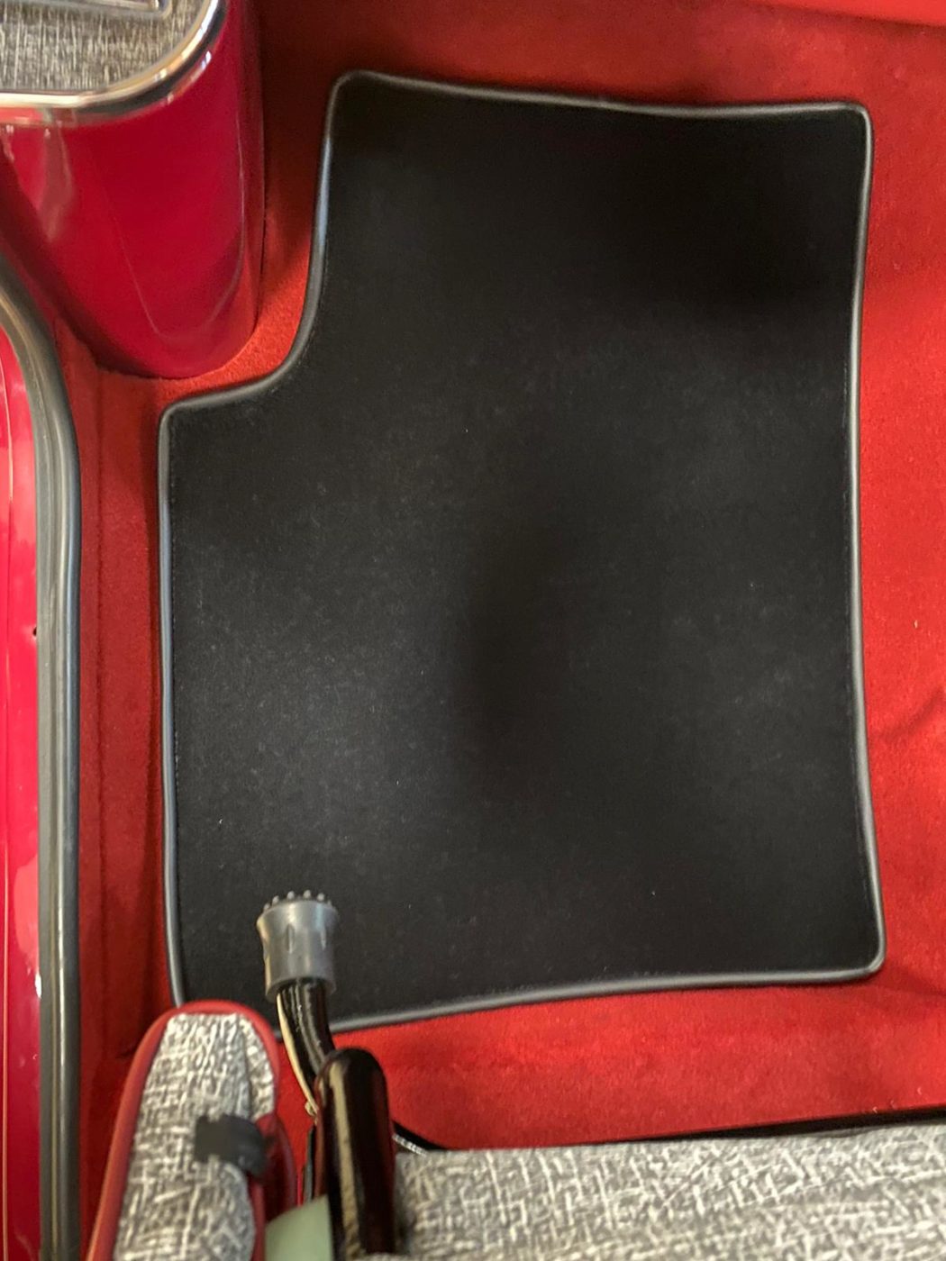 evas mini carpet14 1