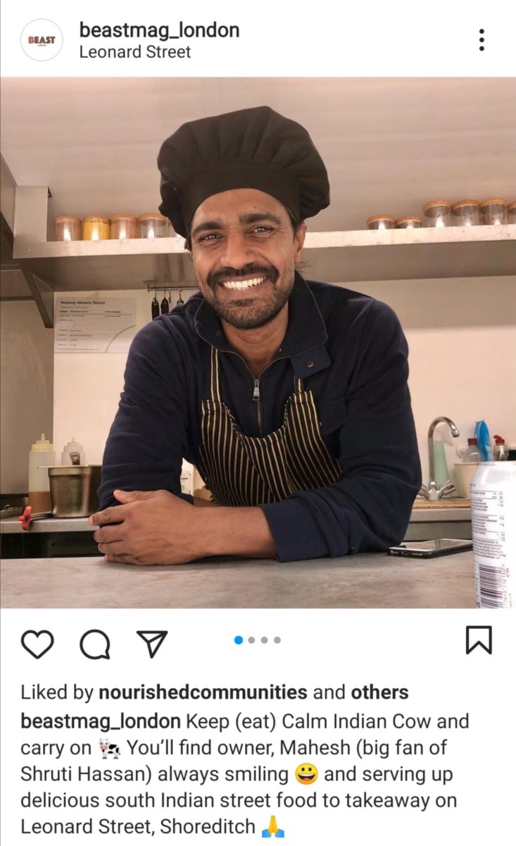 Calm Indian Cow Bedford Truck 2 1
