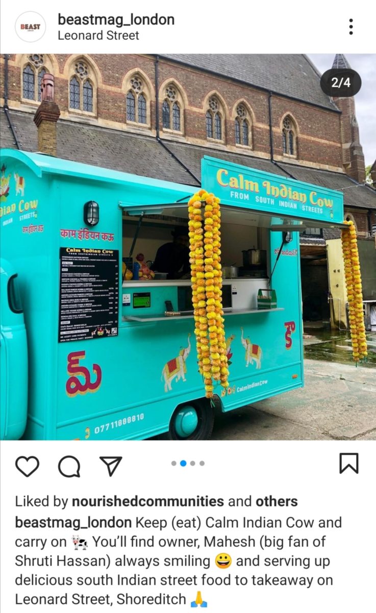Calm Indian Cow Bedford Truck 3 1