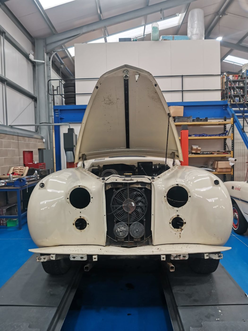 tom wiring jaguar MKVII 33 1