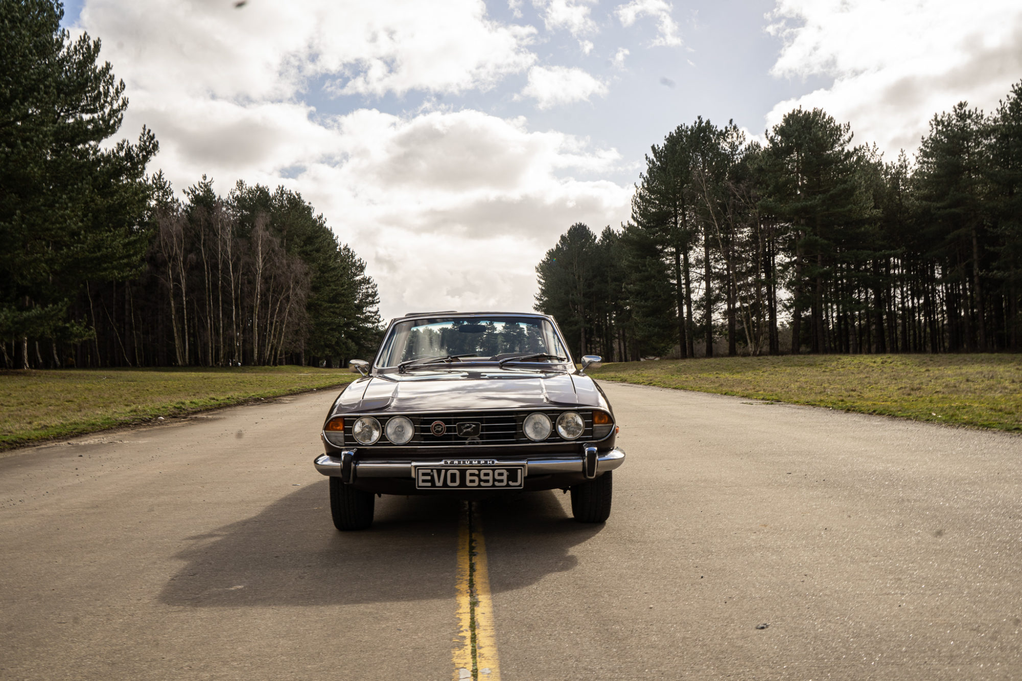 Stag final edits small 15 1