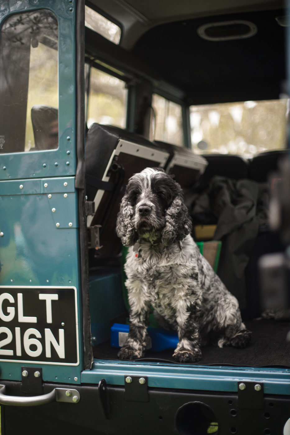 Kersey mill Car show Ellie 125 1