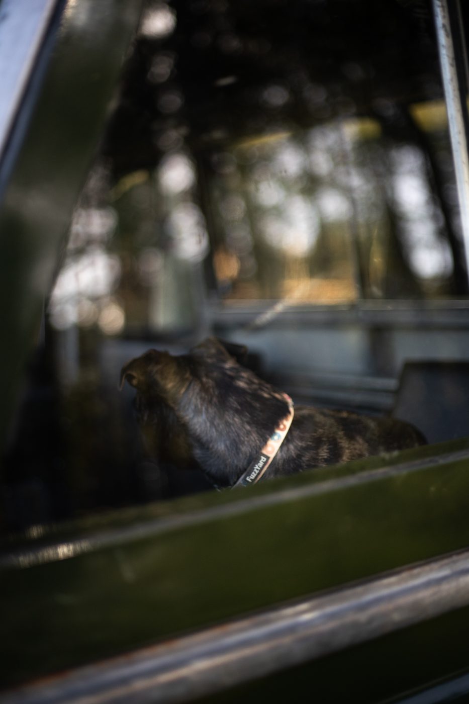 Land Rover Charlotte 028 1