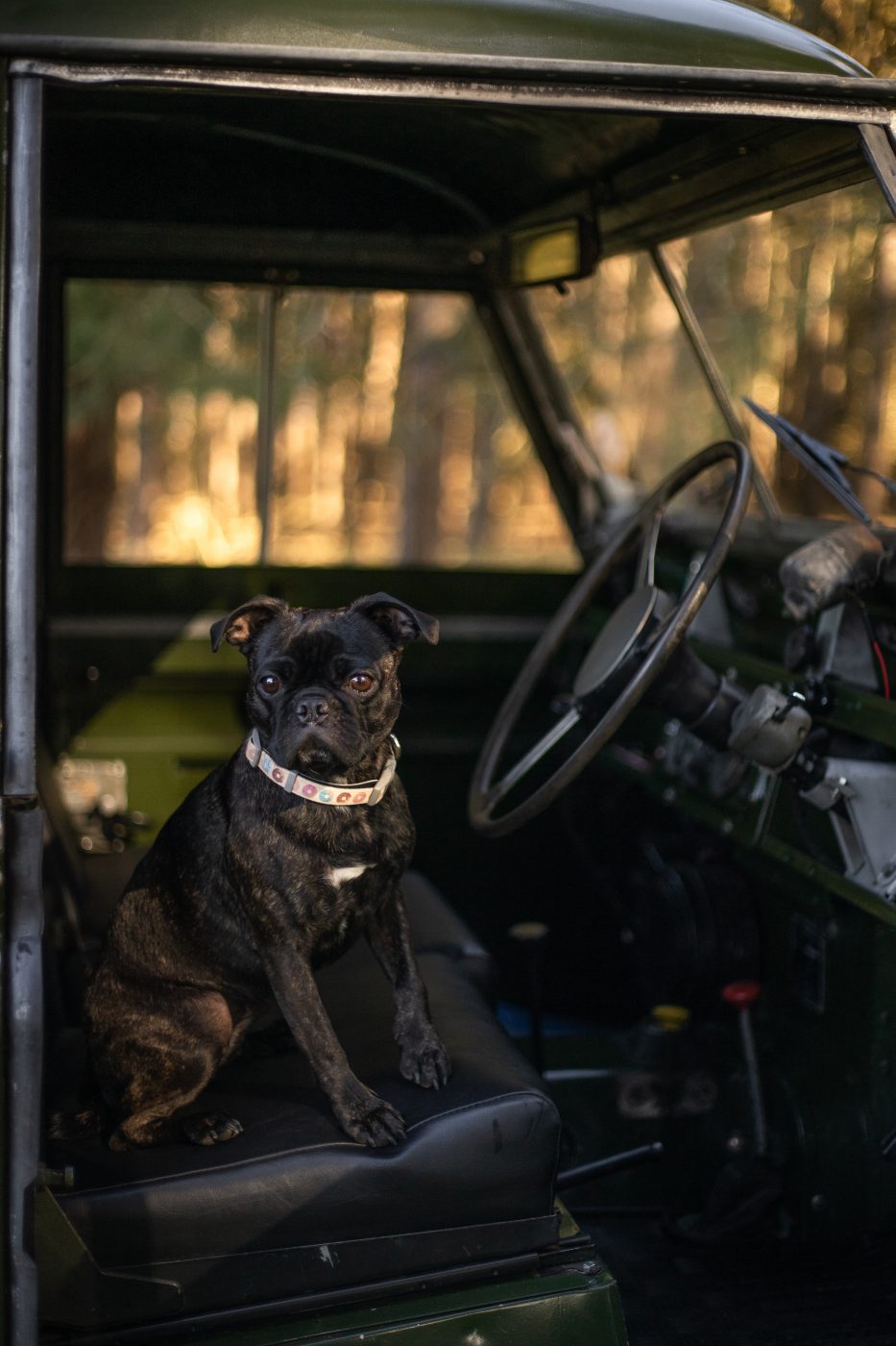 Land Rover Charlotte 097 1