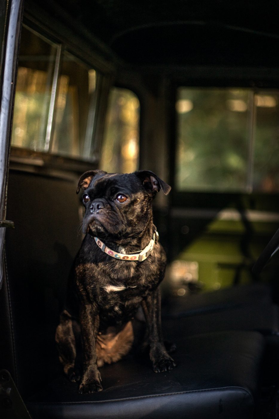 Land Rover Charlotte 099 2