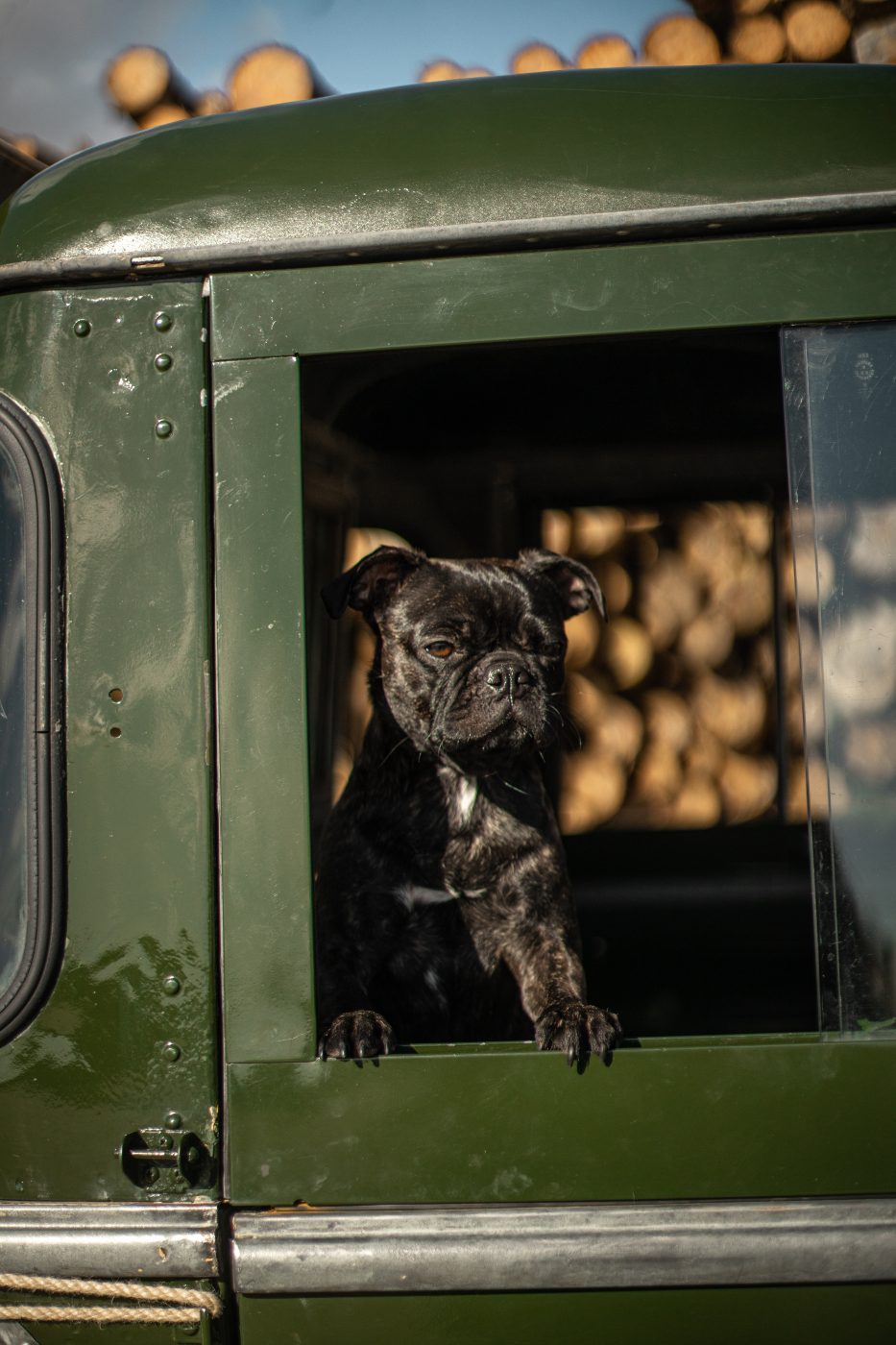 Land Rover Charlotte 136 1