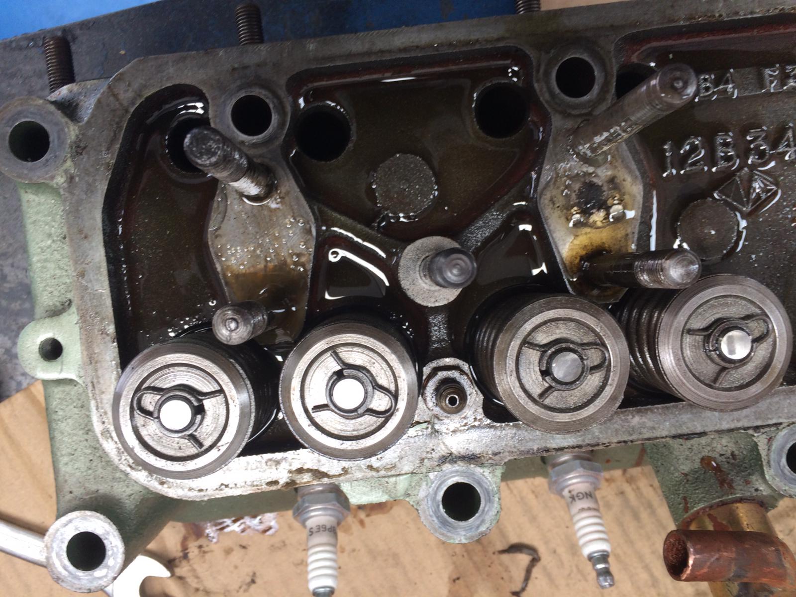 Red Healey 100 head removed Talk to Dave 11 1