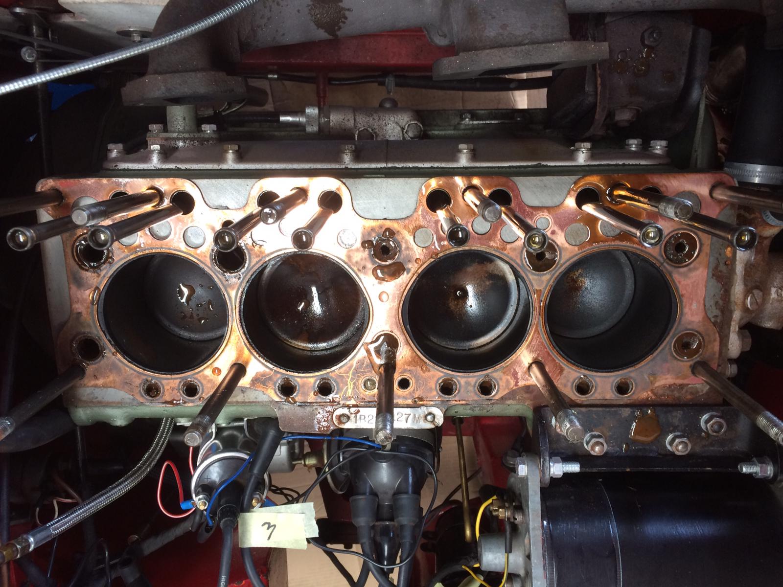Red Healey 100 head removed Talk to Dave 8 1