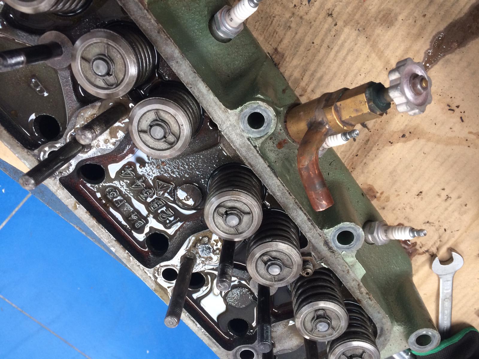Red Healey 100 head removed Talk to Dave 9 1