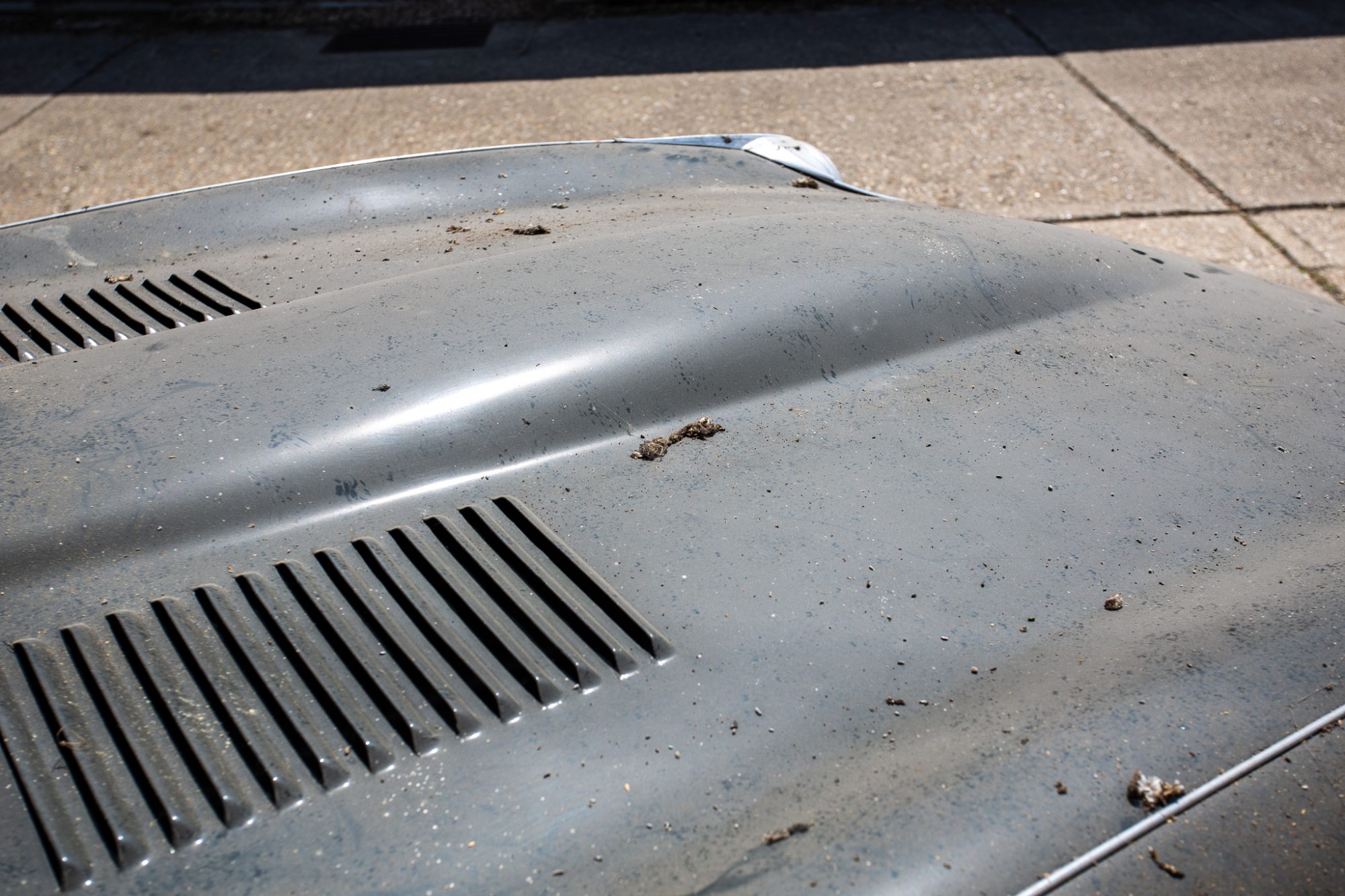 08062021 Jaguar Etype 4.2 barn find 11 1
