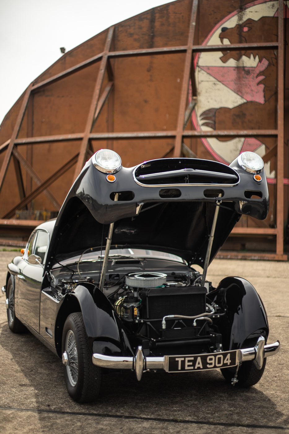 1957 Jensen and 1960 Jensen Photoshoot 2021 123 1