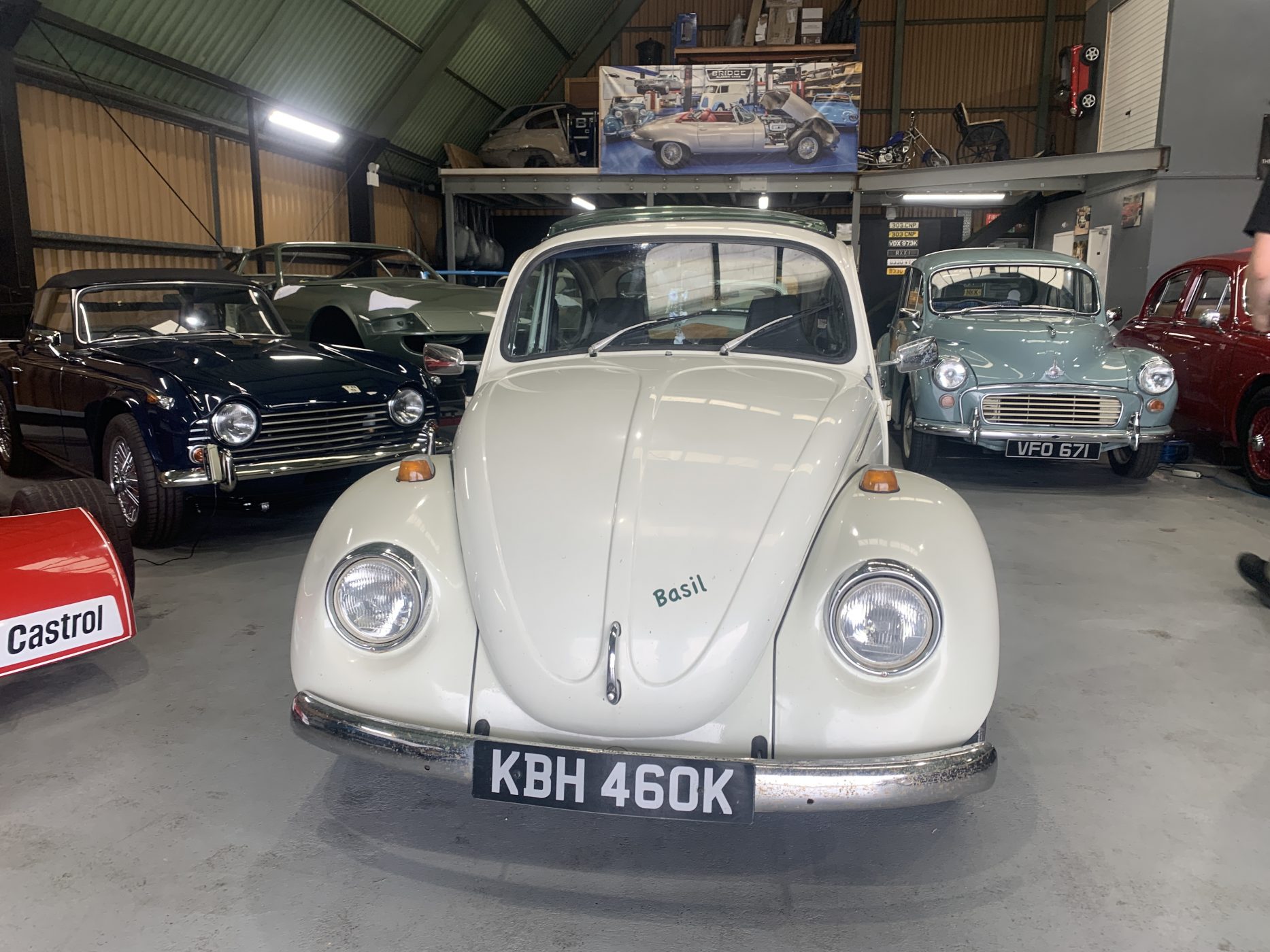 29062021 Basil the Beetle awaiting work 10 1