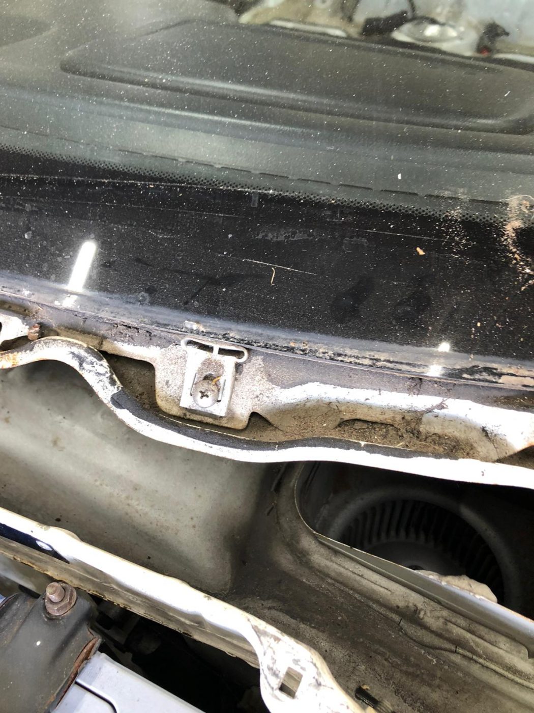 30062021 Honda Integra Pricey 112 1