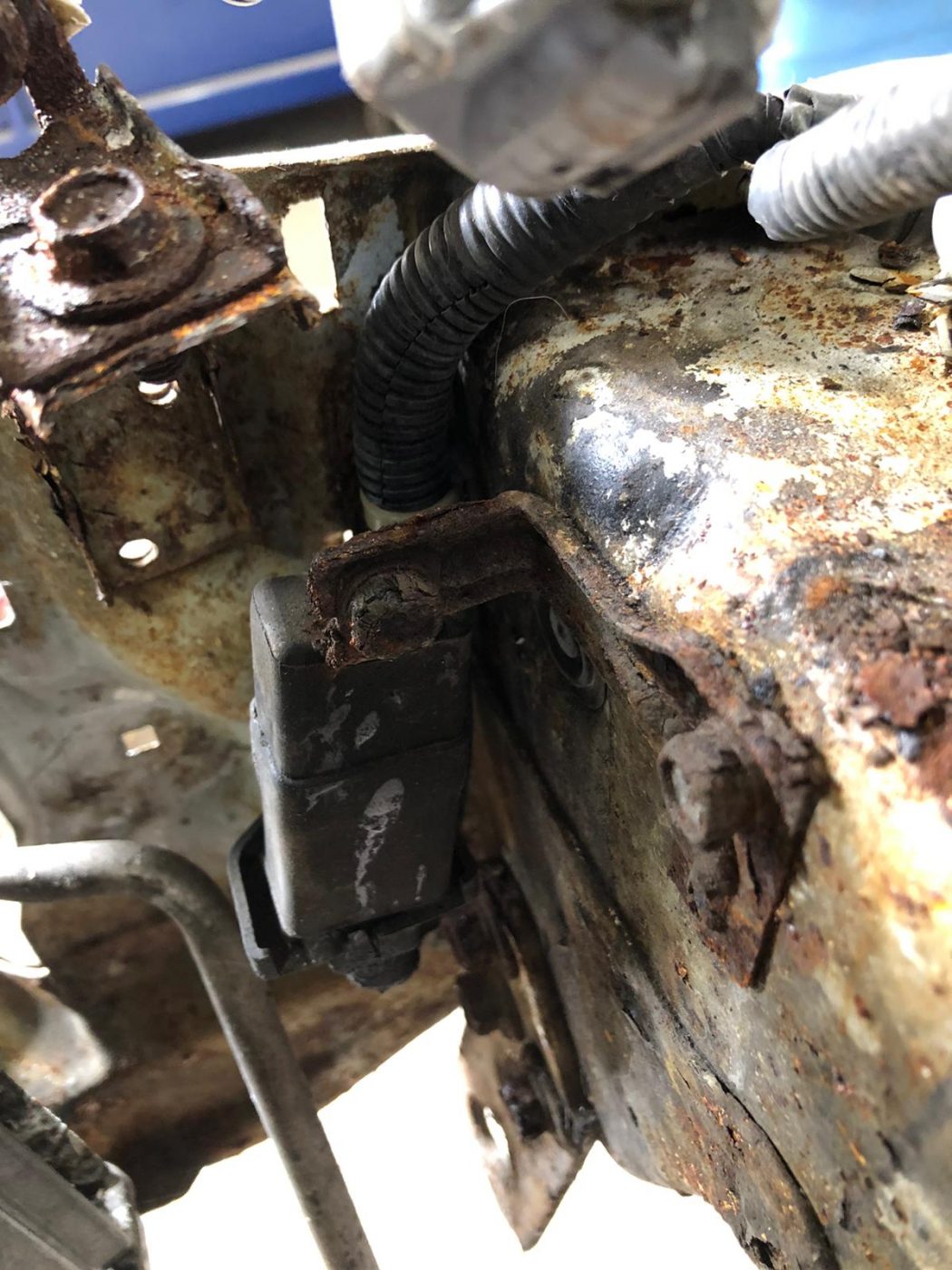 30062021 Honda Integra Pricey 117 1