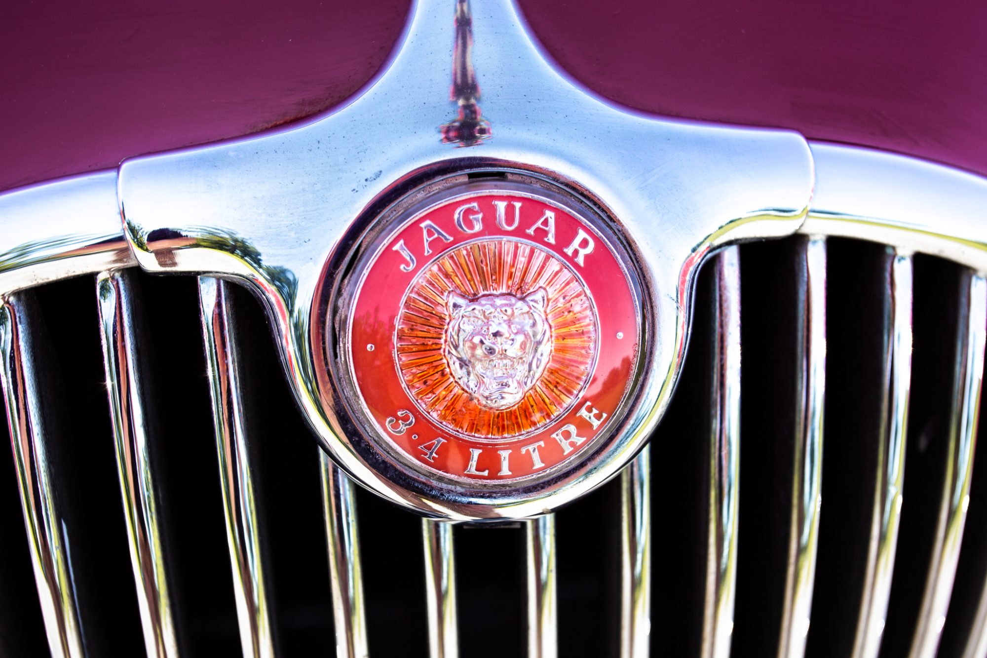 Helmingham Hall Jaguar MK1 061 1