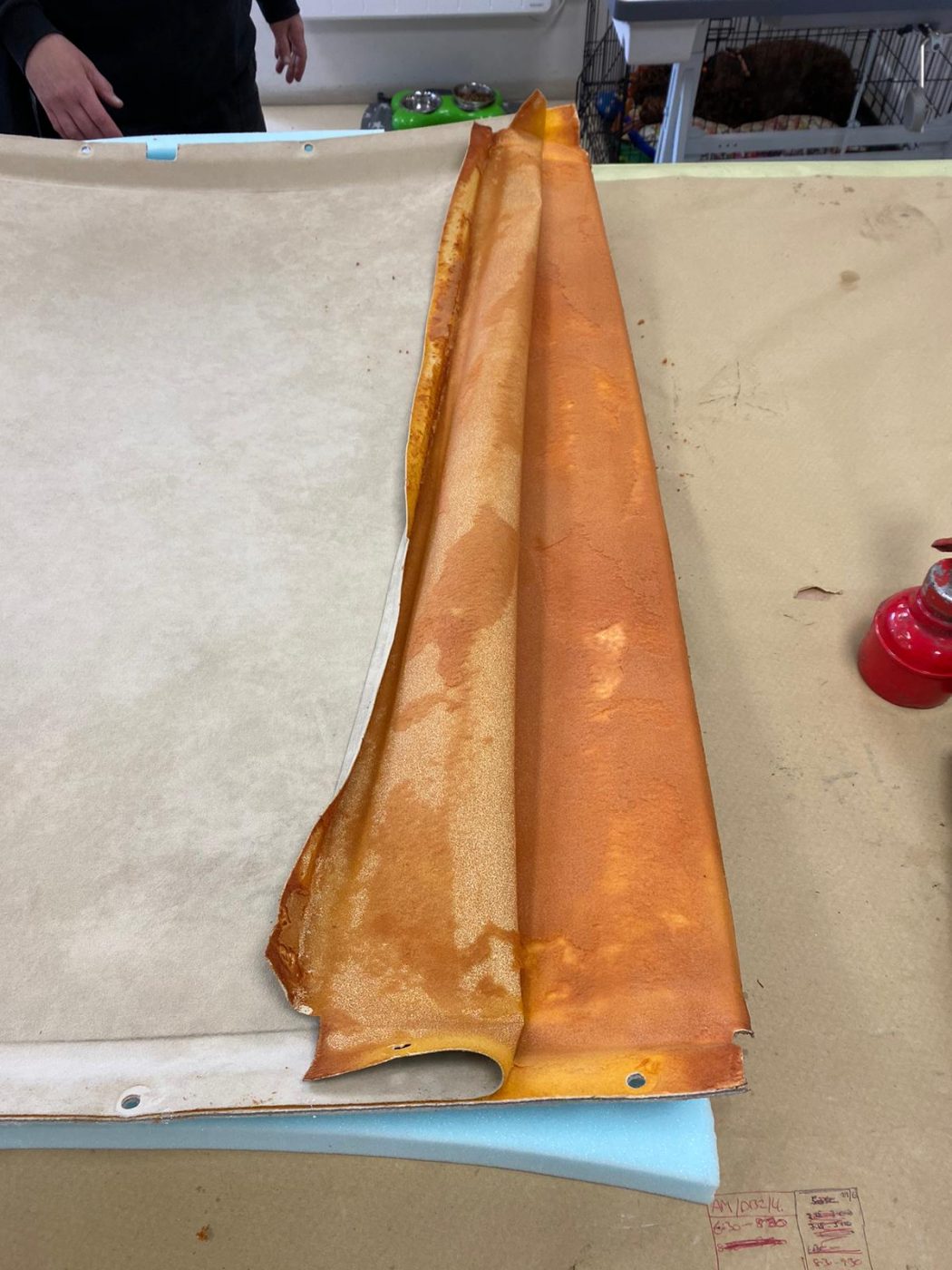 02072021 DB9 ceiling cloth 5 1