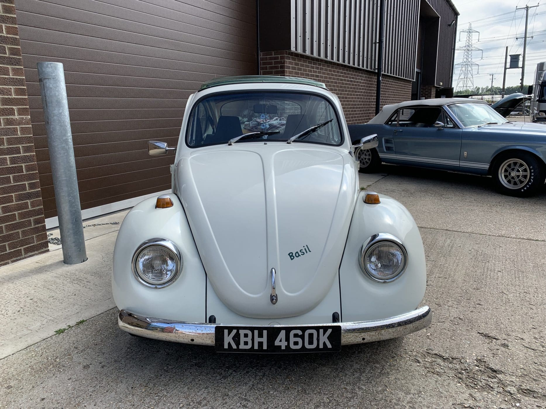 130721 Volkswagen Beetle Basil arrived 3 1