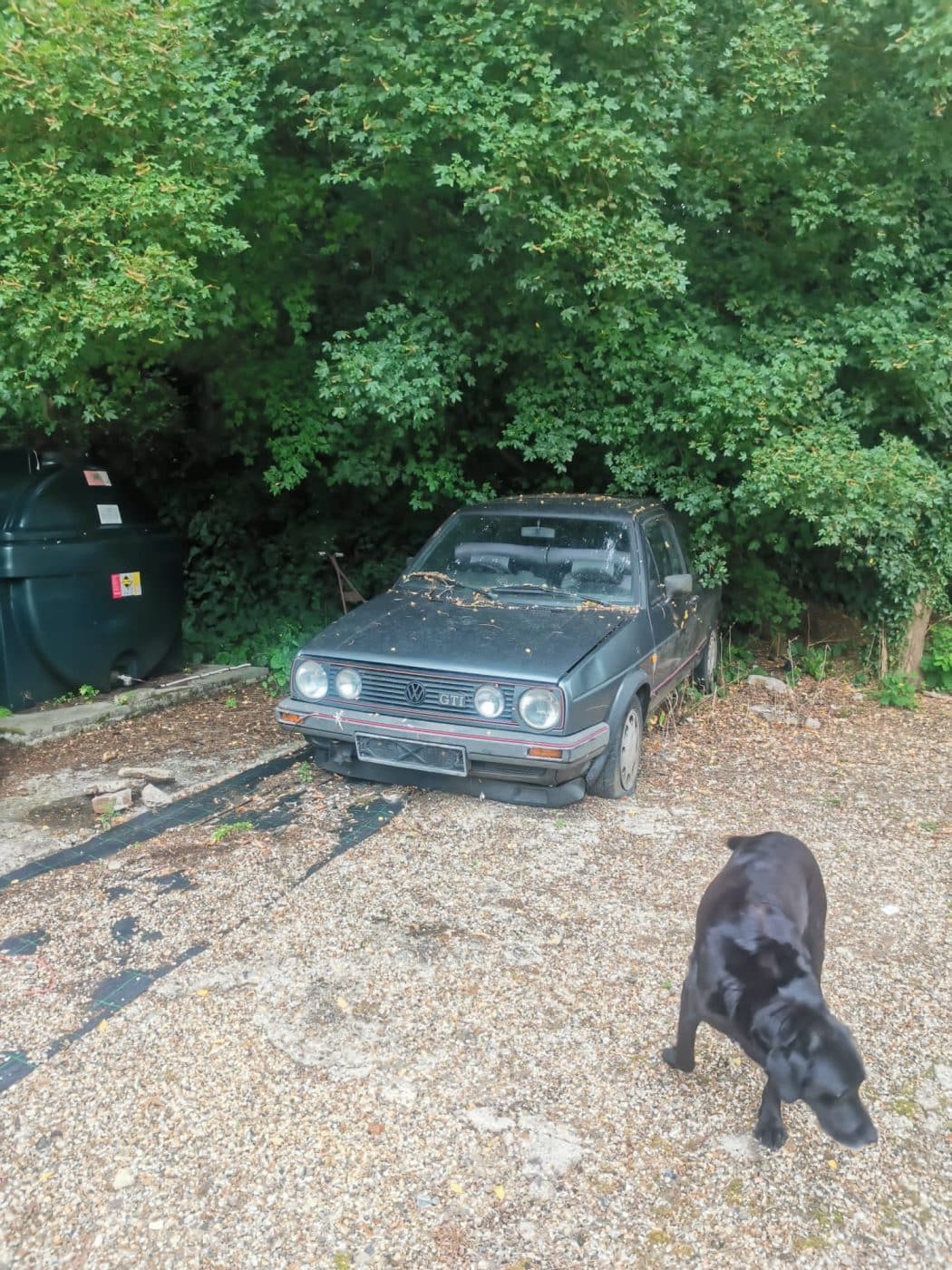 010921 Volkswagen Golf GTI restoration project 10 1