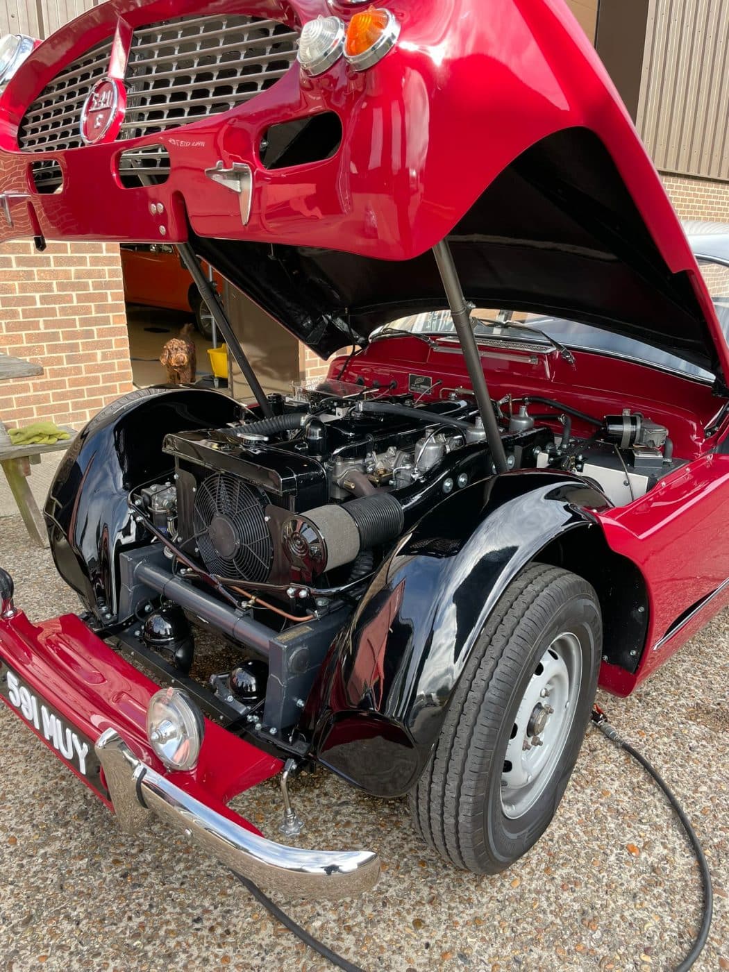 261021 Peony Red Jensen 541 Pre Delivery 2