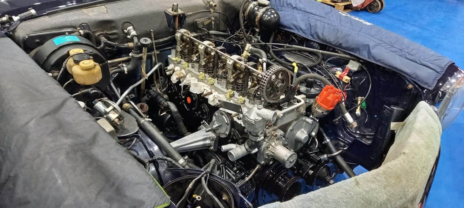 030222 1969 Mercedes 280SL Pagoda Engine In Wiring and plumbing fluids 19 1