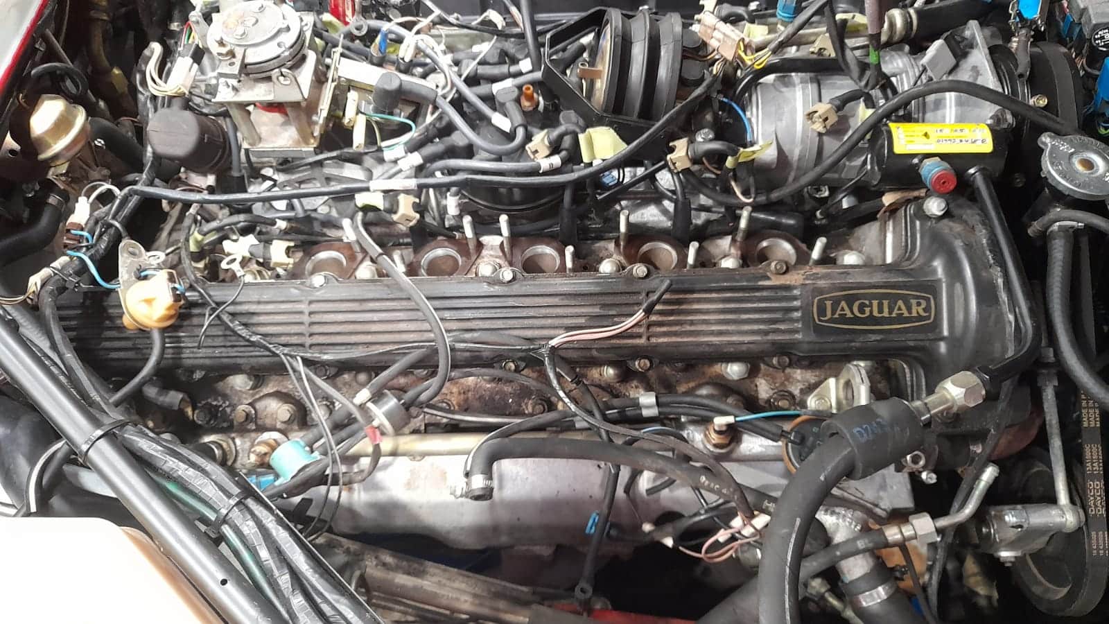 12122022 1988 Jaguar XJS Convertible Rocker Cover Gasket 18 1