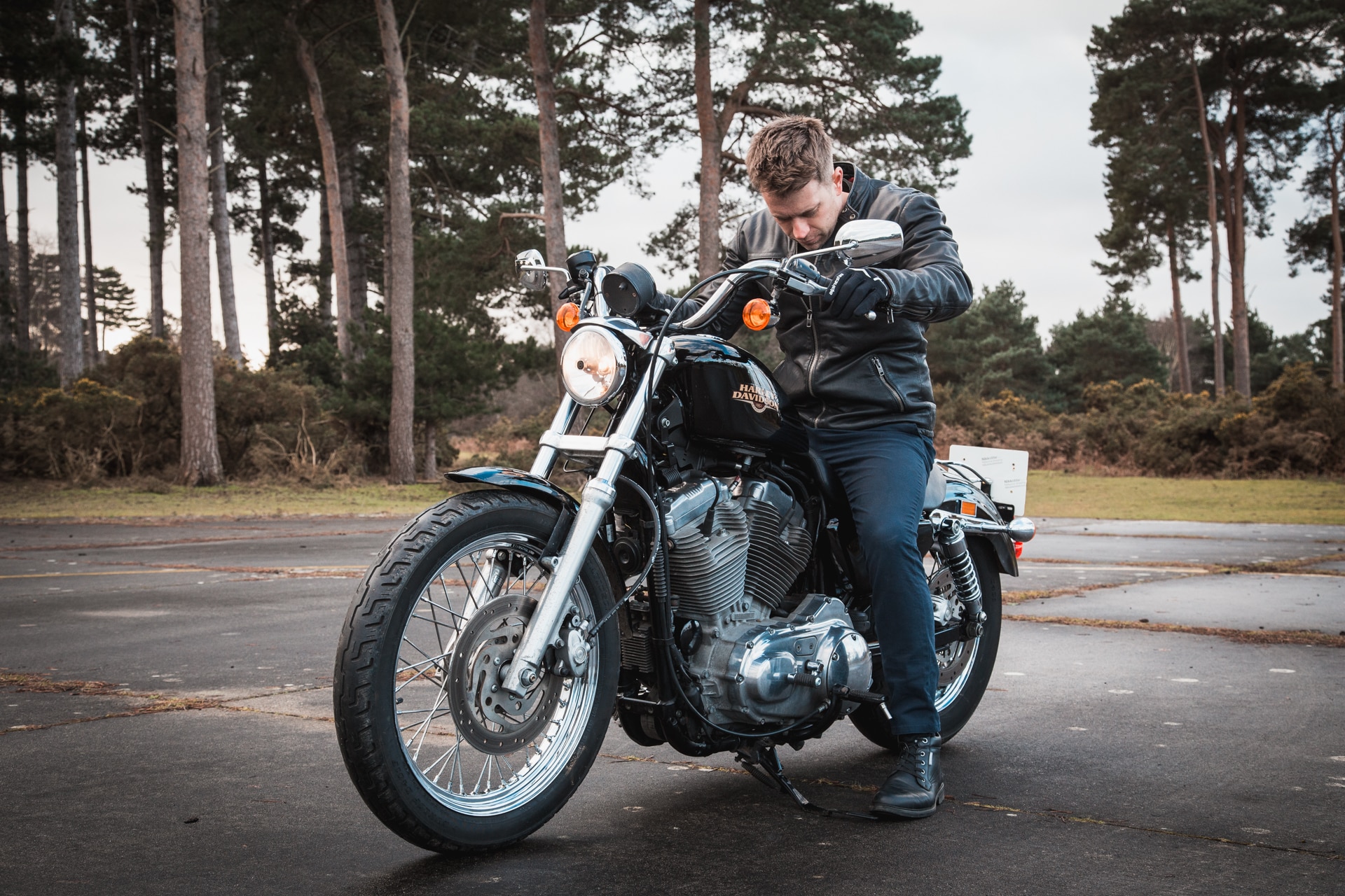 2008 Harley Davidson 883 Sportster 07 1