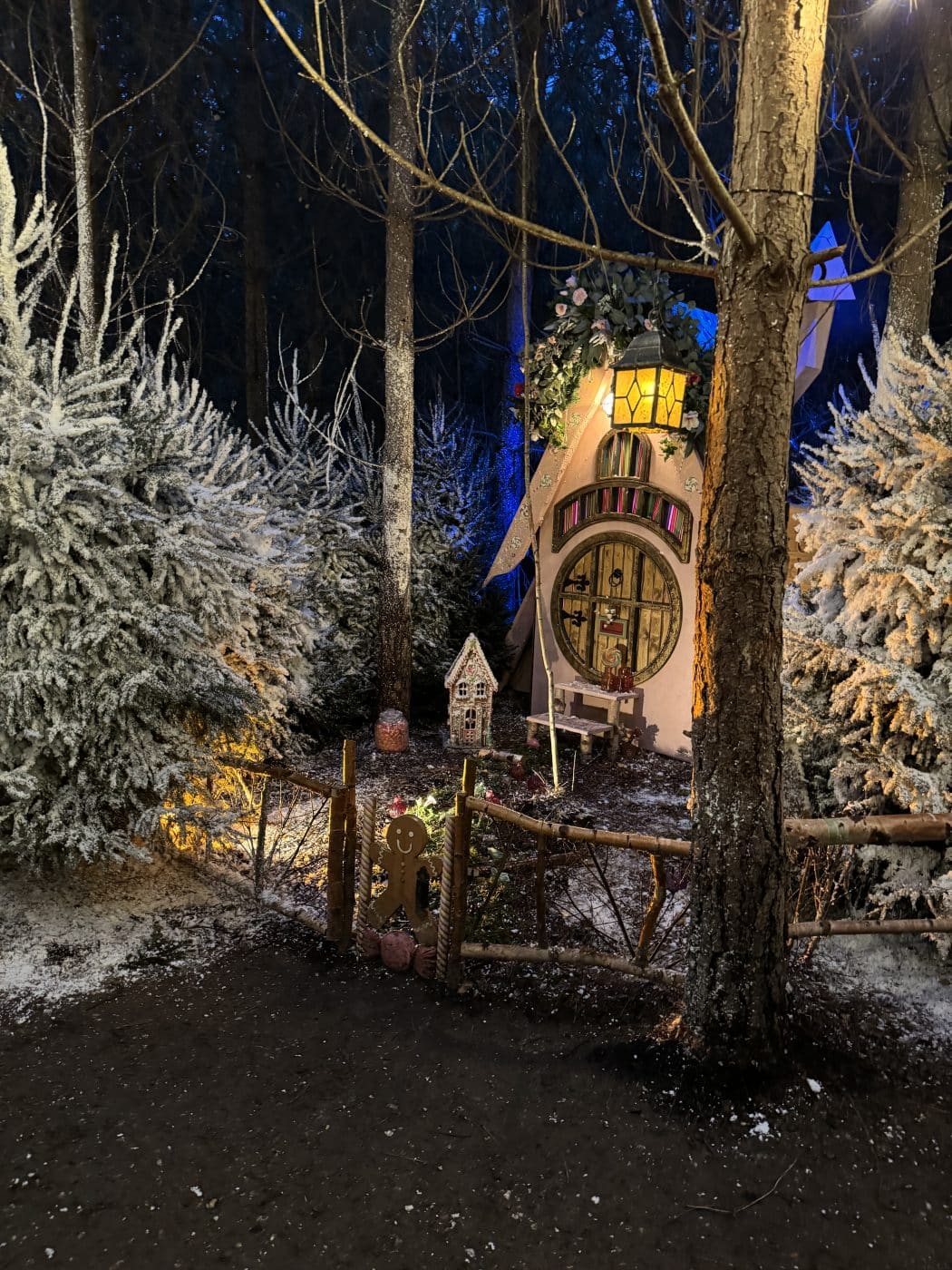 181123 Lapland UK 35 1