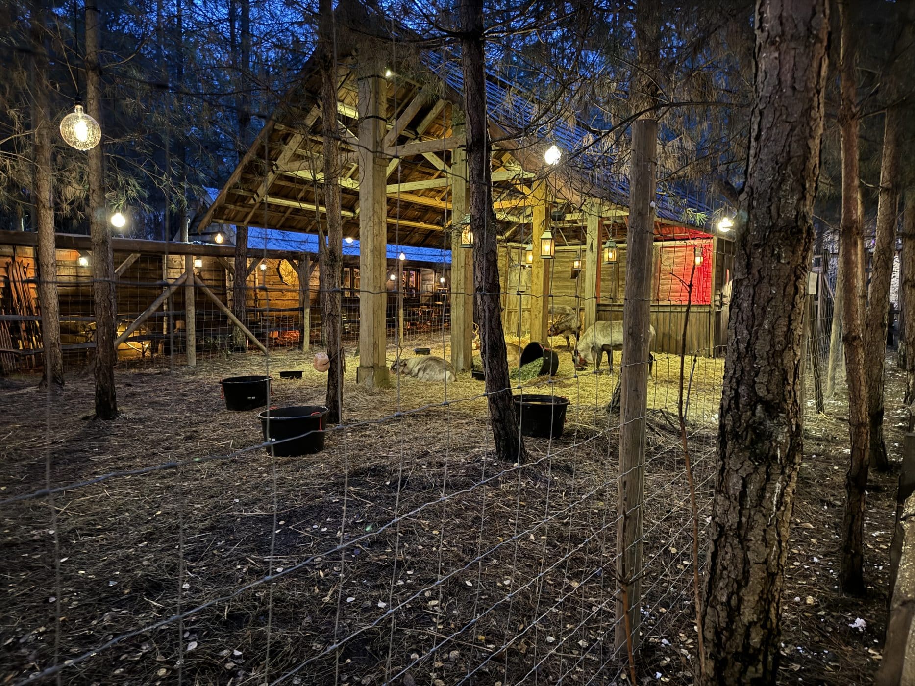 181123 Lapland UK 44 1