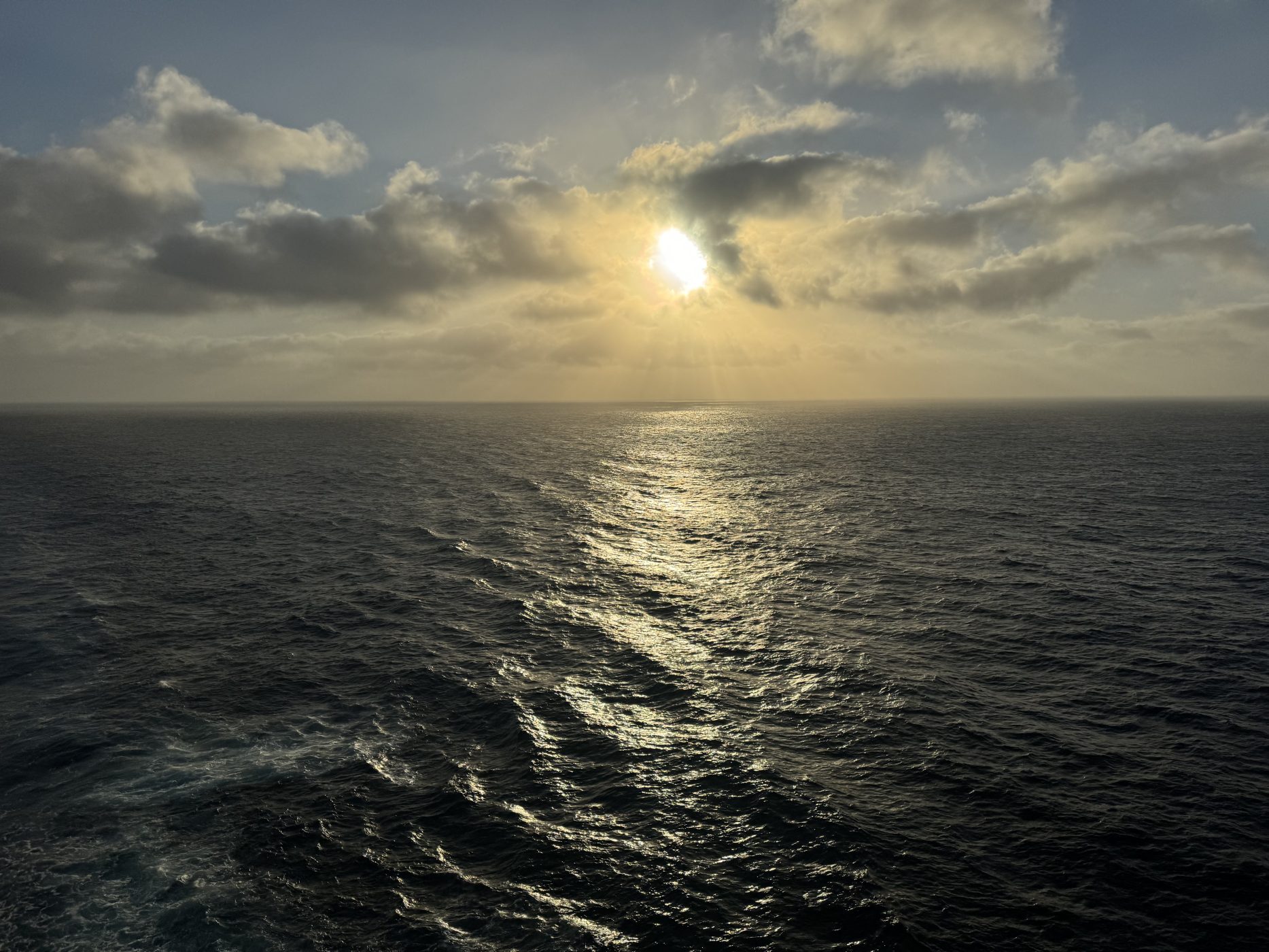 August 2024 MSC Virtuosa Cruise 160