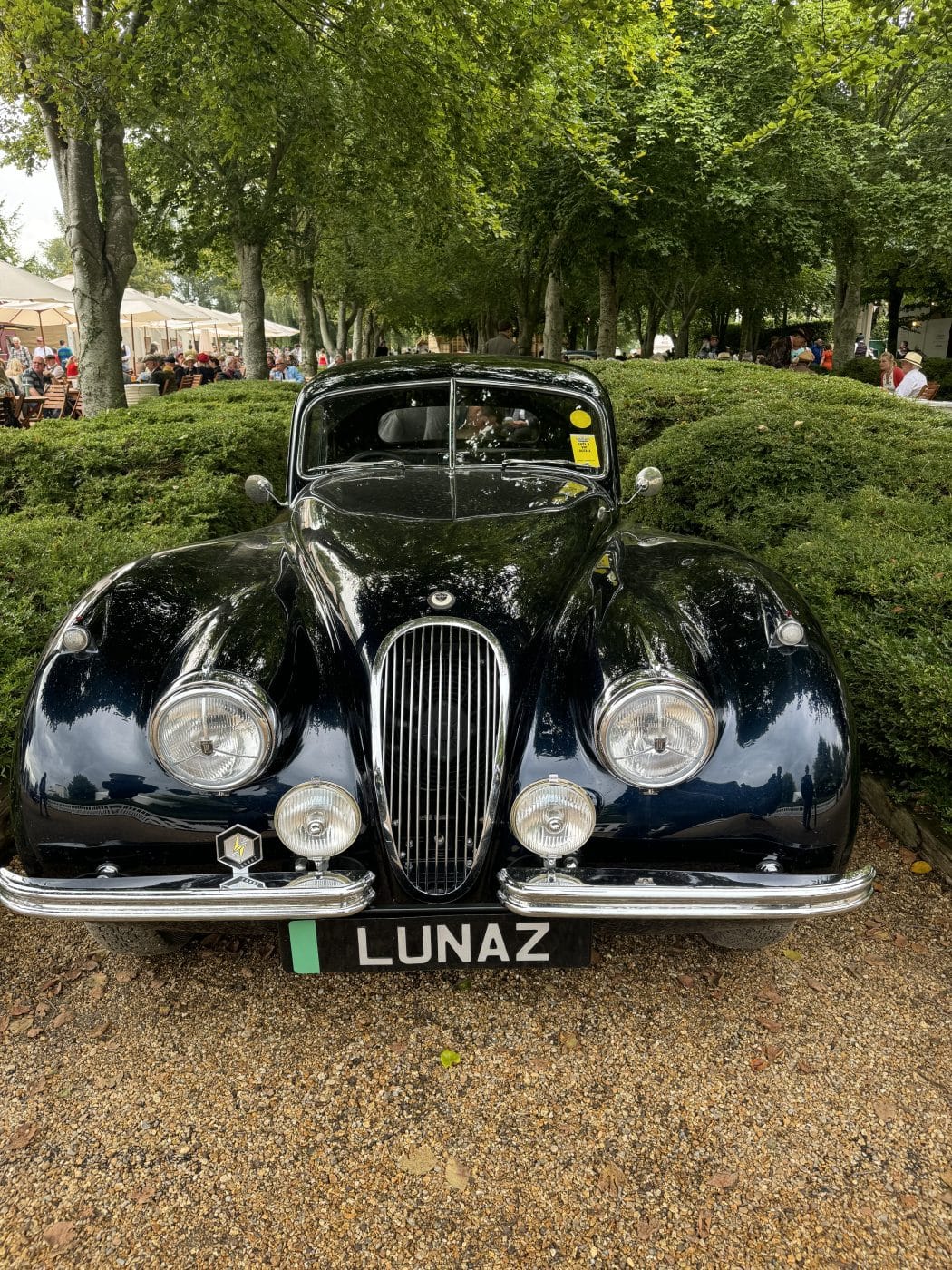 Goodwood Revival 2024 104 1