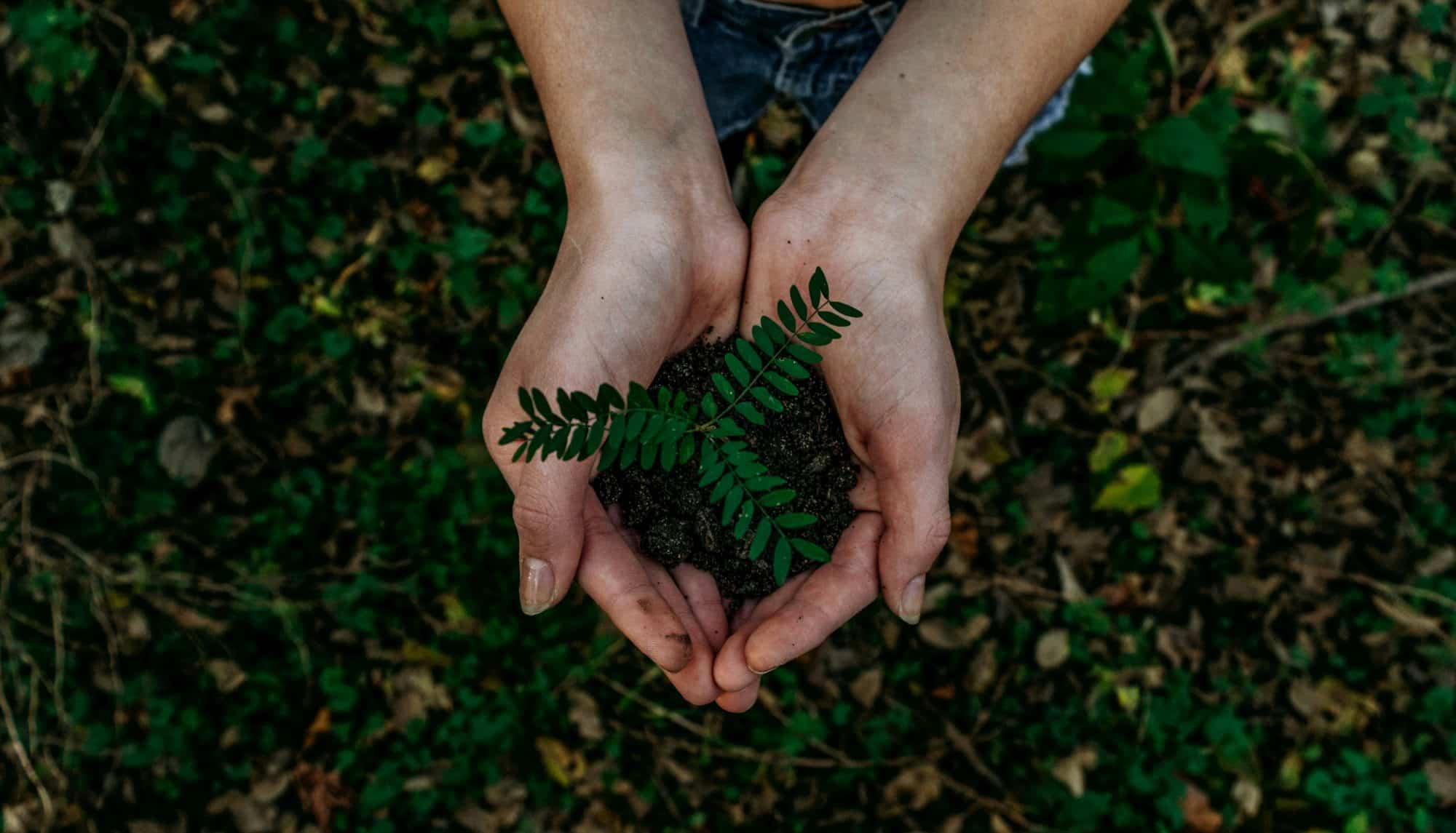 noah buscher x8ZStukS2PM unsplash 1