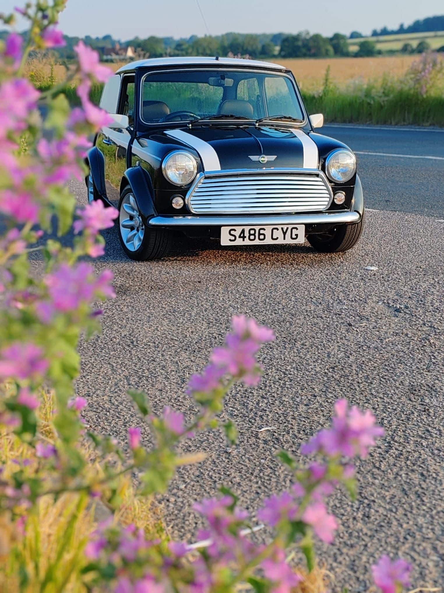 1998 rover mini cooper s le (3)