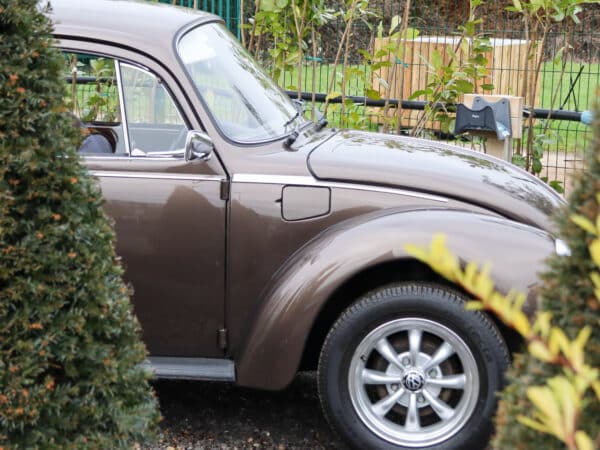 04022025 sustainability filming (3)