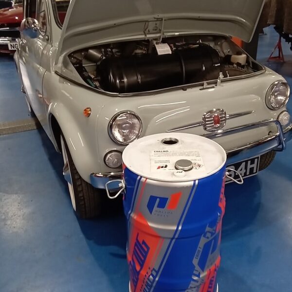 110225 1970 fiat 500 pdi (2)