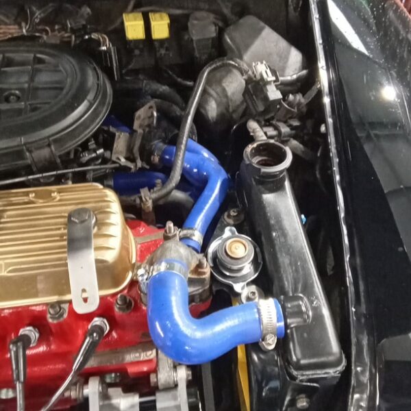 110225 1994 rover mini cooper cooling system (28)