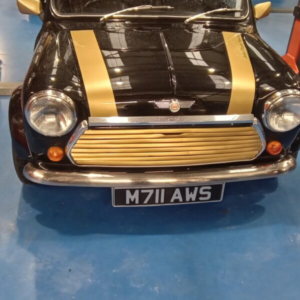 110225 1994 rover mini cooper cooling system (29)