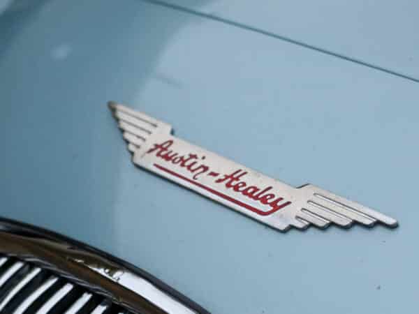 21022025 1955 austin healey 100 arrival (10)