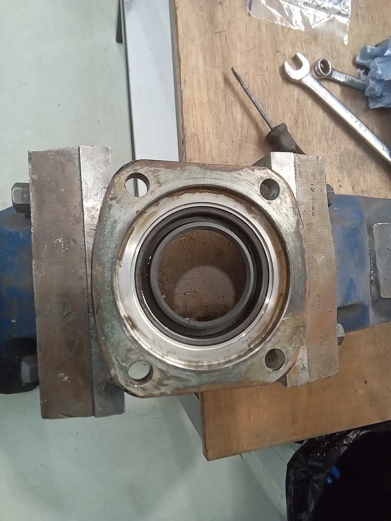 13.03.2025 1973 mg roadster blue strip down (478)