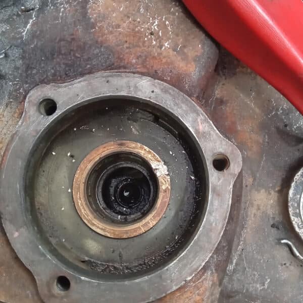 27.03.2025 1974 triumph stag white water pump (1)