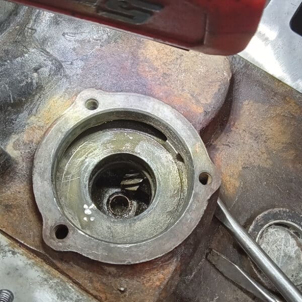27.03.2025 1974 triumph stag white water pump (5)