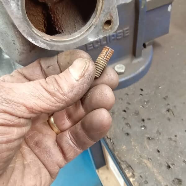 27.03.2025 1974 triumph stage white water pump 2 (10)